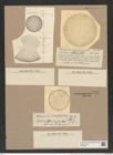 Stictodiscus nankoorensis Grun. (de-Toni-Nr.: Genus 205, Species 5227) Zeichnungen Sammlung Grunow Nr. 9022 (NHMW-BOT-W0378735)